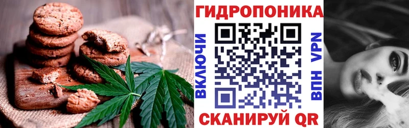 купить наркотики сайты  Аша  Canna-Cookies конопля 