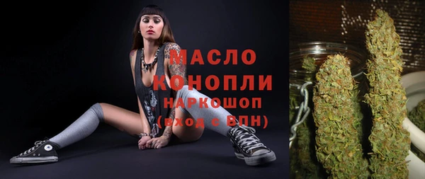 хмурый Арсеньев