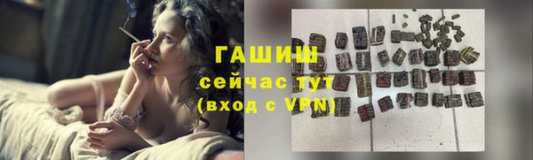 хмурый Арсеньев