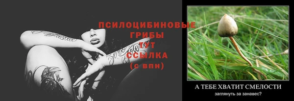 спиды Армянск