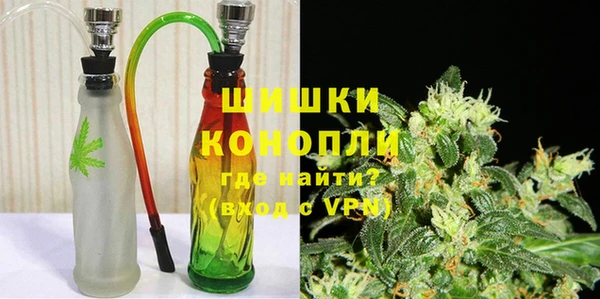 хмурый Арсеньев
