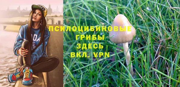 спиды Армянск