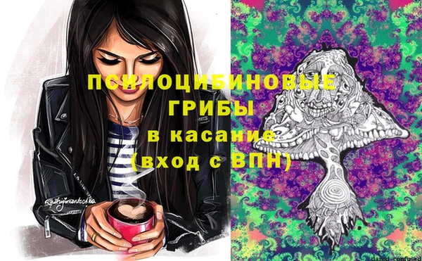 хмурый Арсеньев